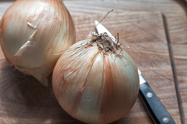 Vidalia Onion History two onions