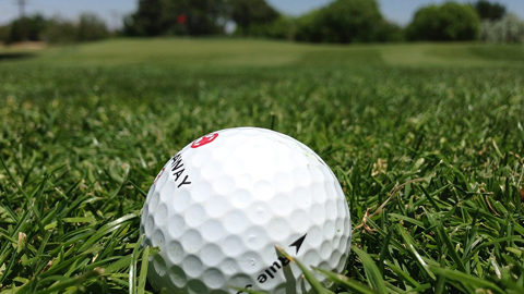 The 5 Ps of Golf. golf ball close up