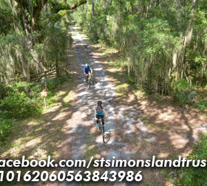 Cannon's Point Preserve