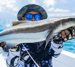 catch cobia fever. boy with hat and sunglasses catches a large fish.