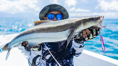 catch cobia fever. boy with hat and sunglasses catches a large fish.