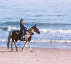 Grab the Reins. woman riding horse on beach
