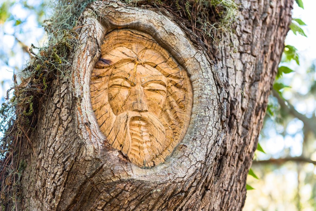 Join the Hunt for the St. Simons Tree Spirits
