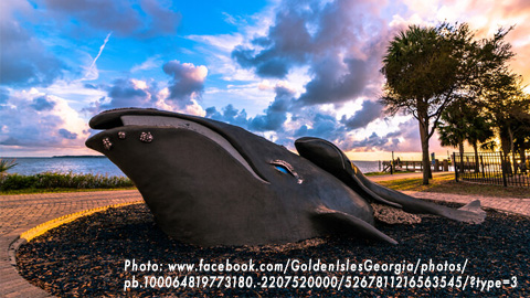 Mama Whale and Baby Sculpture on Saint Simons Island. A large outdoor sculpture of a whale