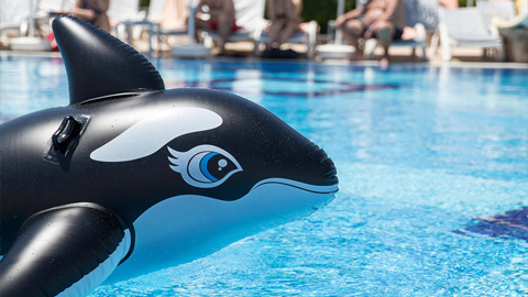 Hospitable Hotels on St. Simons Island. a killer whale float in pool