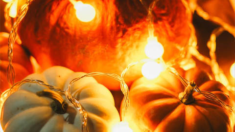 Halloween and Fall Events on St. Simons. pumpkins with warm lights